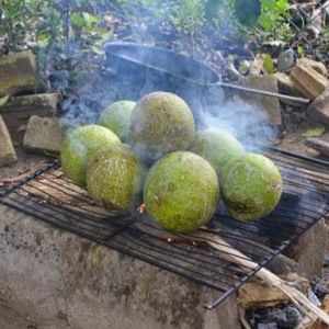 Meet your Posher, Drew